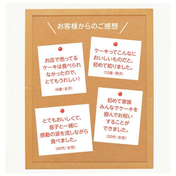 品質が完璧 アレルギー対応 ケーキ バースデー 誕生日 七五三 クリスマス 予約 宅配 冷凍 送料込 小麦と卵と乳を使わないデコレーション 銀座コージーコーナー4 3円 Whitesforracialequity Org