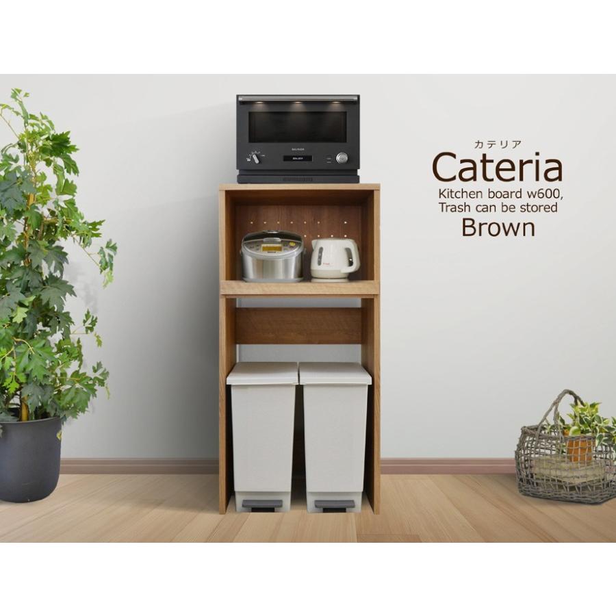 レンジ台 カテリア ダストボックス収納 ブラウン 幅60ｃｍ Rbdts052br 家具通販のコージールーム 通販 Yahoo ショッピング