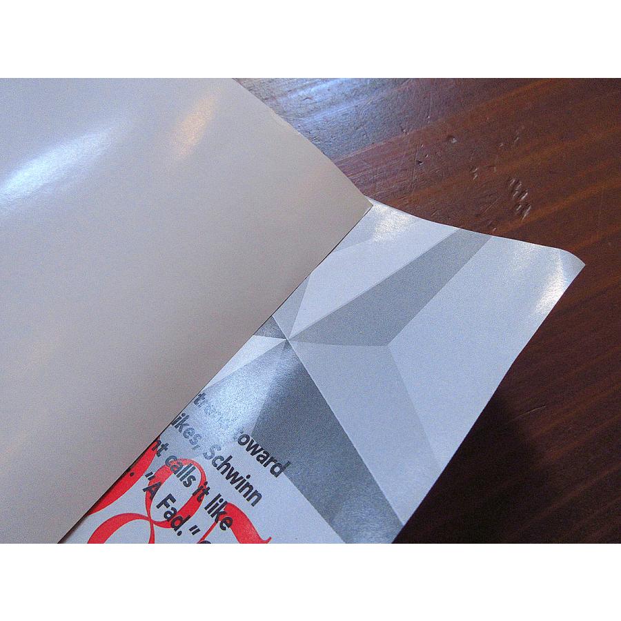 ビンテージ90's○DEADSTOCK SCHWINN年表ポスター○240905k6-pst