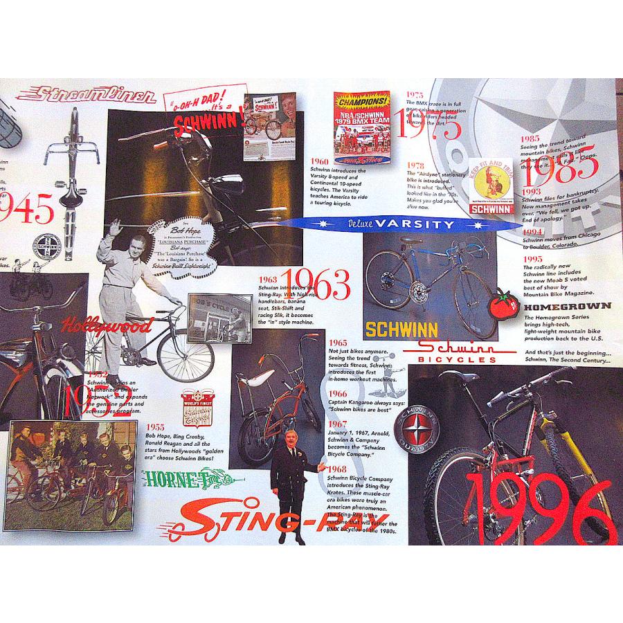 ビンテージ90's○DEADSTOCK SCHWINN年表ポスター○240905k6-pst