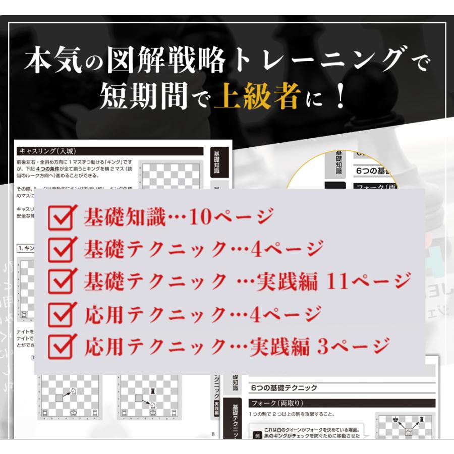 36p詳細ルールブック付 チェス 32cm×32cm Chess board 盤 セット