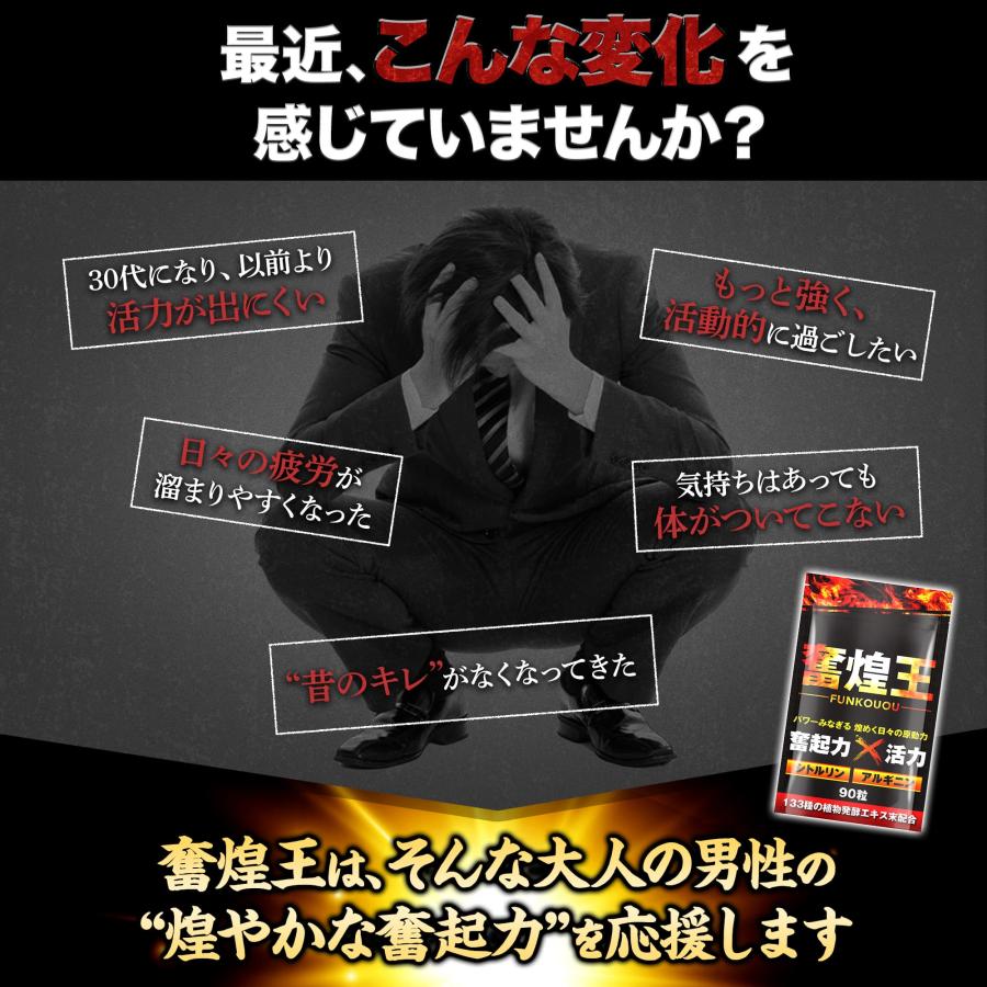 男の自信】奮煌王 ふんこうおう マカ 亜鉛 アルギニン シトルリン 男性