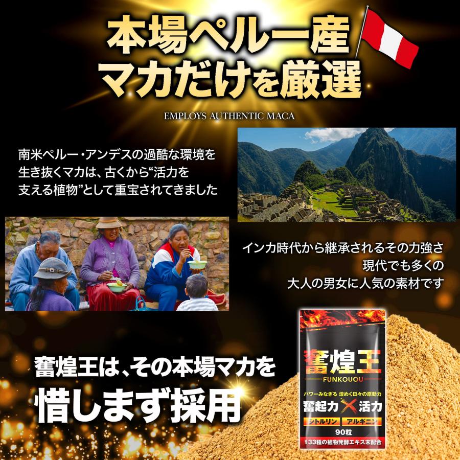 男の自信】奮煌王 ふんこうおう マカ 亜鉛 アルギニン シトルリン 男性
