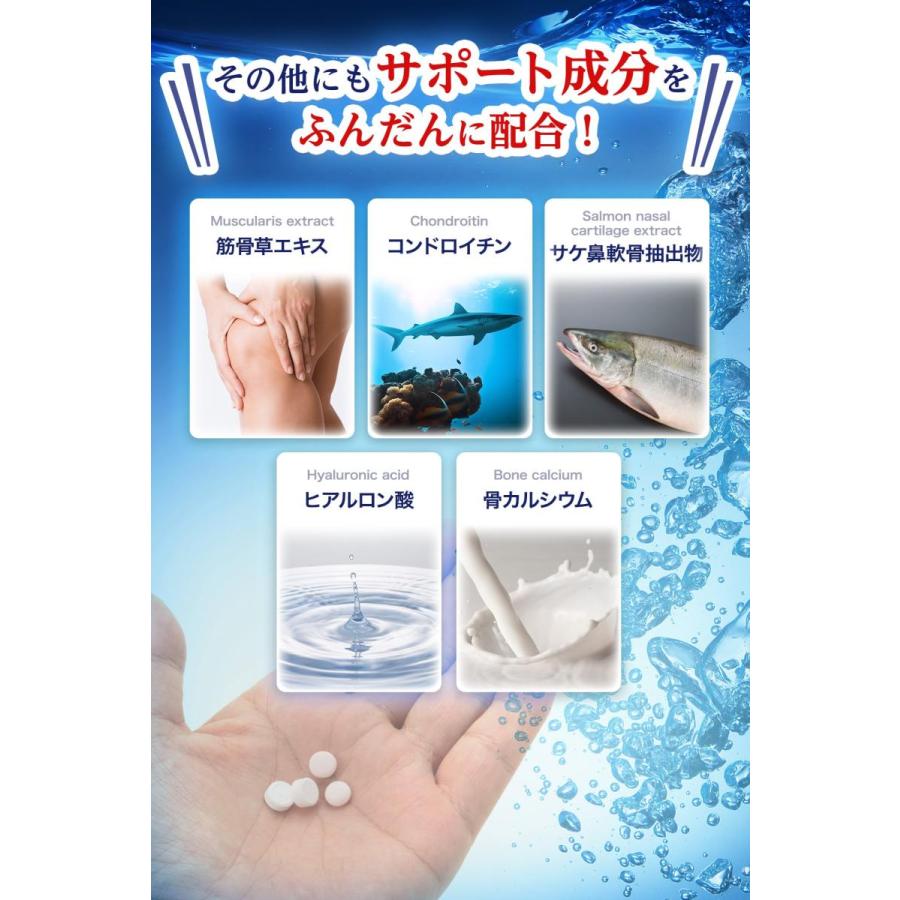 健足生活 グルコサミン15000mg コンドロイチン カルシウム3000mg サケ