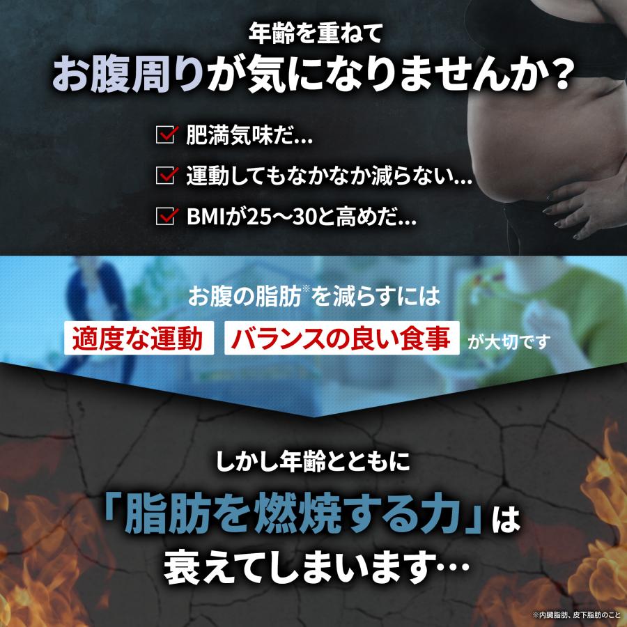 ダイエットサプリ ダイエット サプリ ダイエットサプリメント 中性脂肪