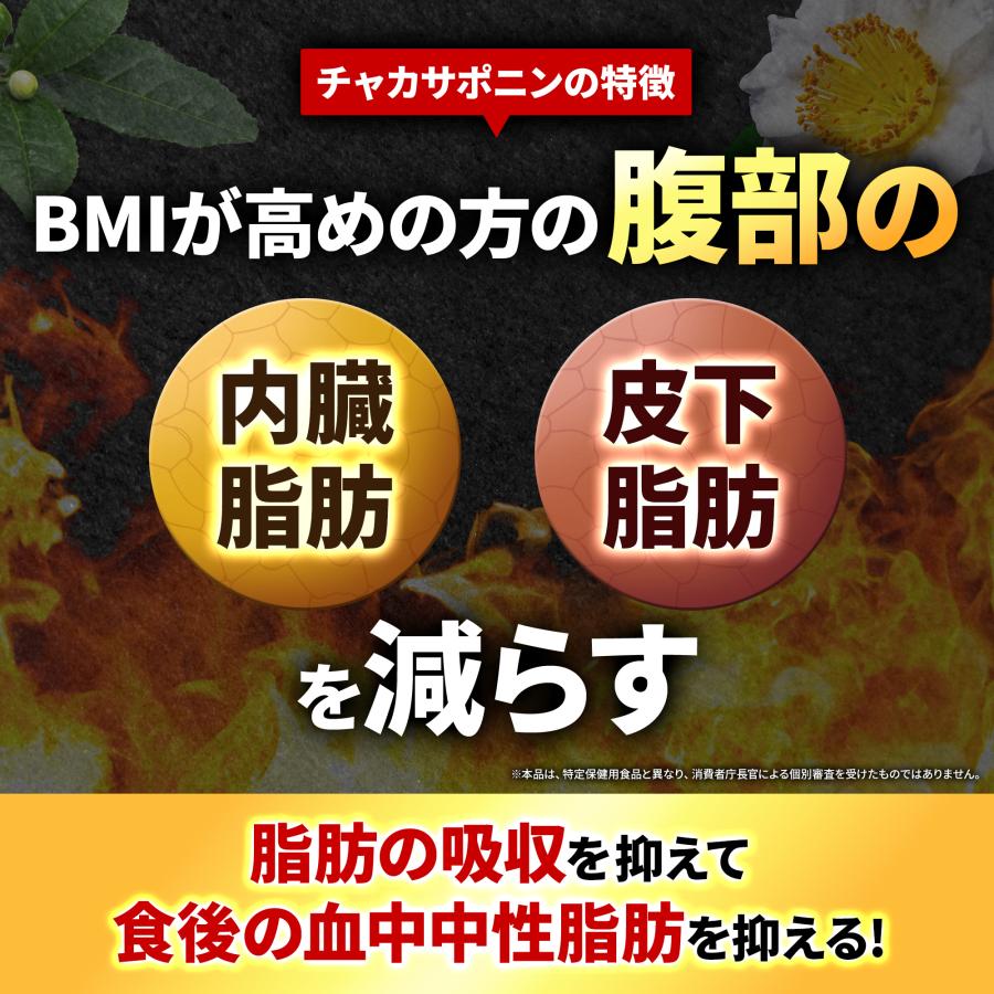 ダイエットサプリ ダイエット サプリ ダイエットサプリメント 中性脂肪