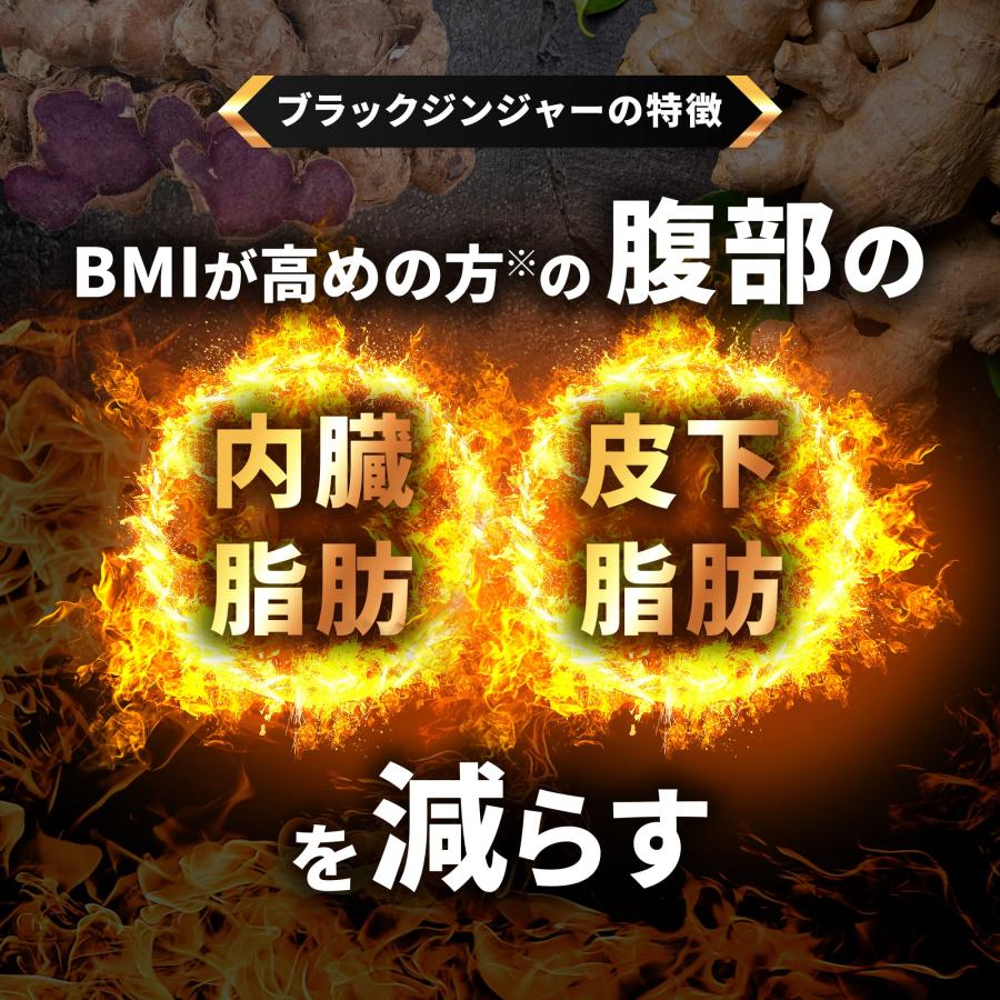 ダイエットサプリ ダイエット サプリ ダイエットサプリメント