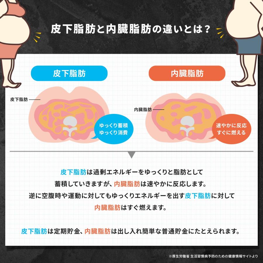 【新品未開封品】内脂ダウン(60粒)×4袋 NID 内脂ダウン｜ドラッグストアで買えるNID PB