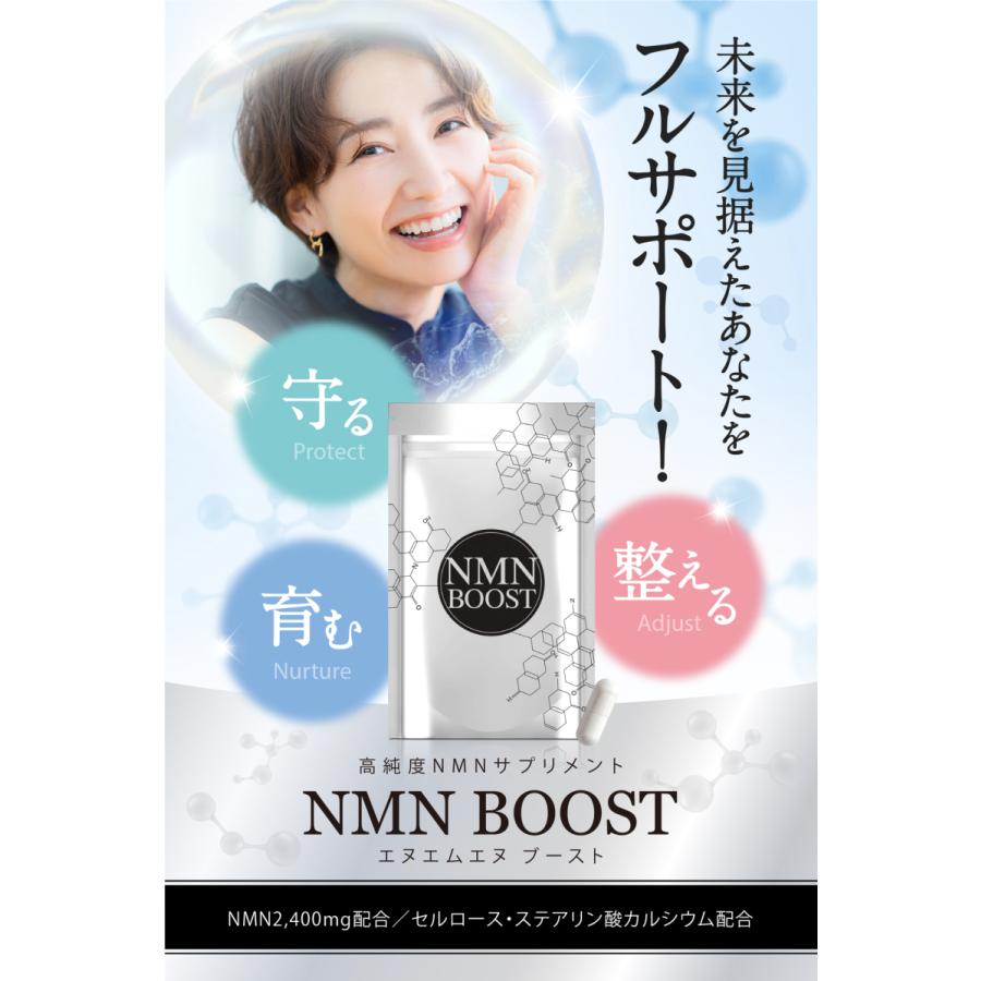 NMN サプリ 高純度99.9％以上 国内GMP認定工場 耐酸性カプセル