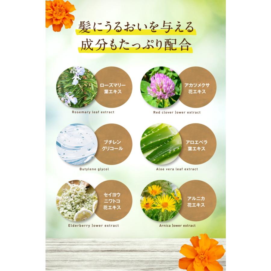 ボタニカルシャンプー 30種の植物エキスを配合 Ralun ラルン 日本製 オーガニック 植物由来 ノンシリコン 500ml Ralun Shampoo シーアール ラボ 通販 Yahoo ショッピング