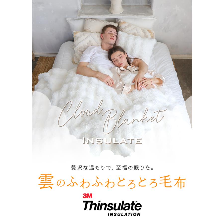 シリーズ新商品／ 毛布 とろとろ もこふわ毛布 シンサレート 掛け布団