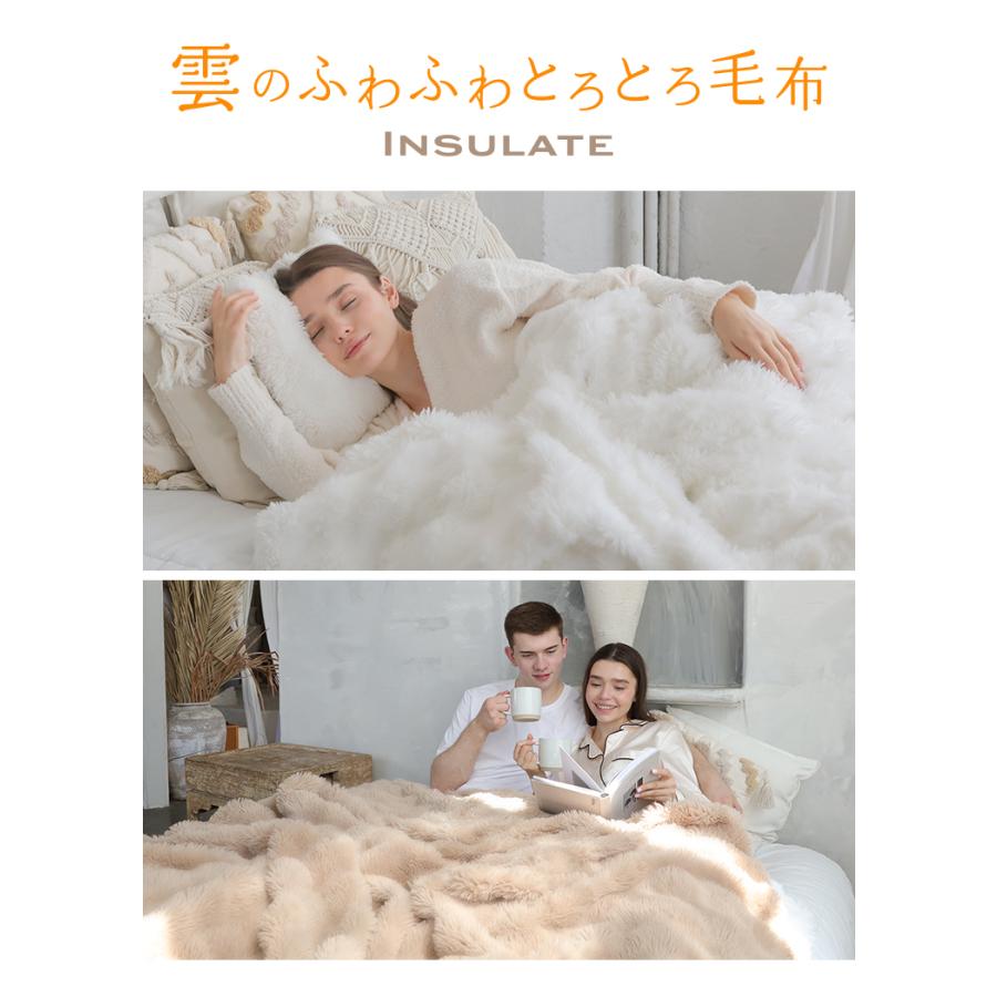 シリーズ新商品／ 毛布 とろとろ もこふわ毛布 シンサレート 掛け布団