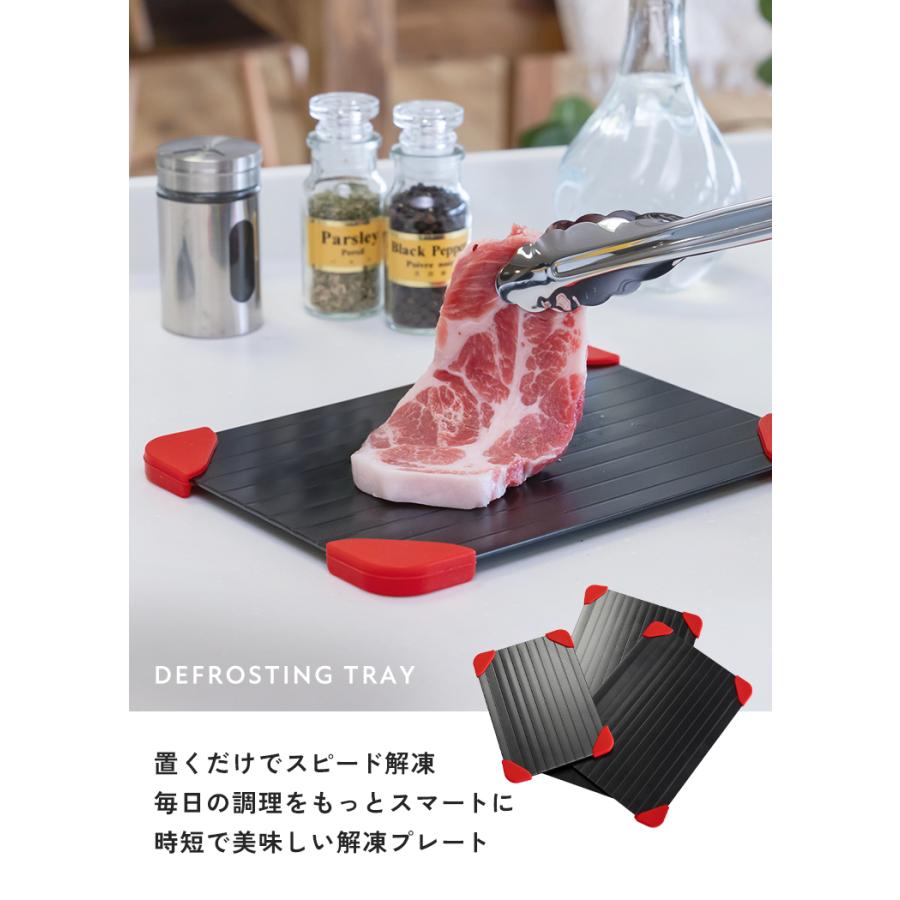 300円オフ】9月13日（日）23:59まで！ 解凍プレート 急速 解凍