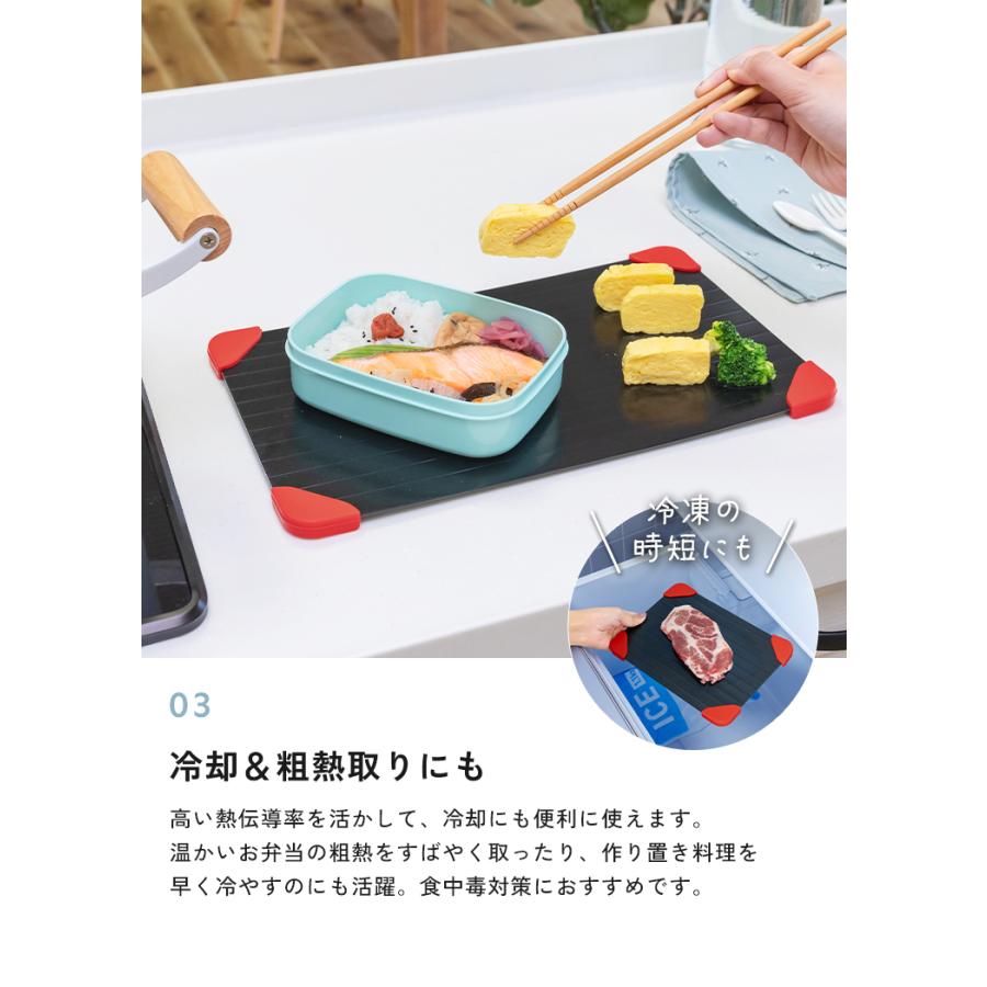 300円オフ】9月23日（水）23:59まで！ 解凍プレート 急速 解凍