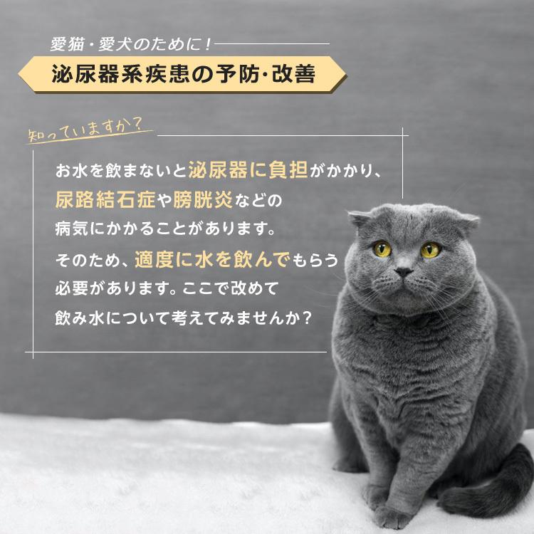 格安新品 自動給水機 給水機 水飲み器 ペット用 猫 ねこ 猫用 犬 いぬ 犬用 水のみ 自動 大容量 静音 循環 浄水 フィルター Usb おしゃれ 白 ホワイト Aynaelda Com