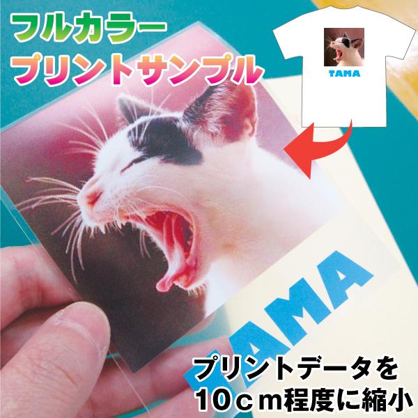 確認用サンプル 布用フルカラープリント 発色確認用サンプル 色見本 