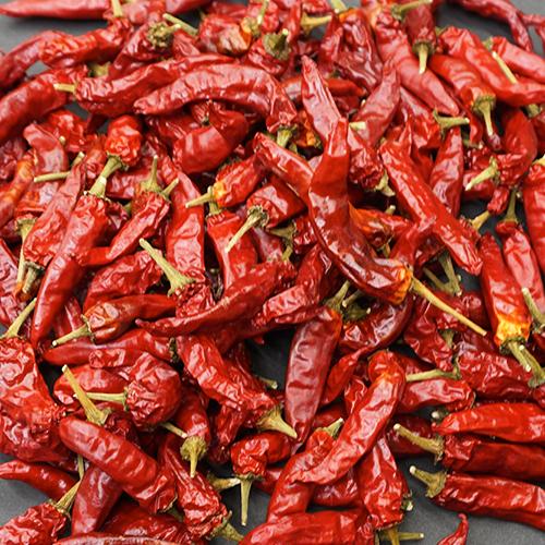 激辛 まぼろしの唐辛子 香川本鷹 乾燥 約10本 10g : うつわの店