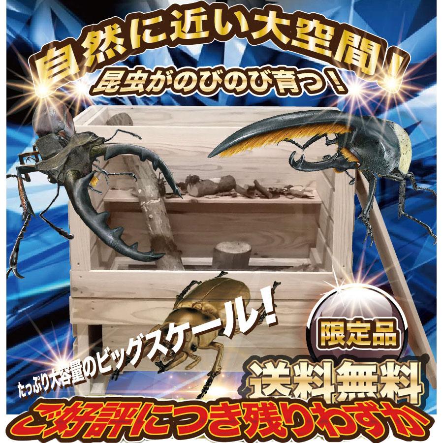 虫かご 飼育ケース 特大 大 カブトムシ 昆虫 オリジナル 手作り 木製 アクリル板 おしゃれ スーパー特大 飼育ケージ クワガタ Bebe 昆虫ハウス Www Arilab Com Tr Index Php