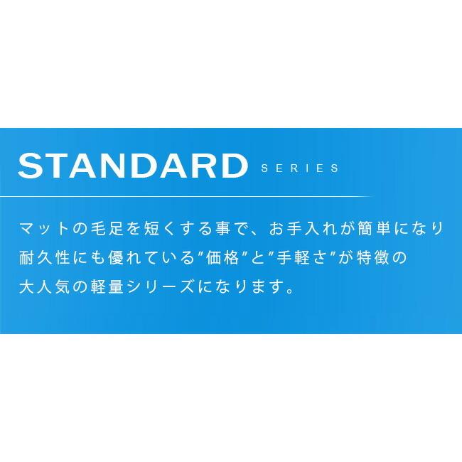 シエンタ サイドステップマット 170系 STDマット 6人乗り 7人乗り NSP170G NCP175G NHP170G 内装 カスタム カーマット カー用品 汚れ防止｜craft-mart｜03