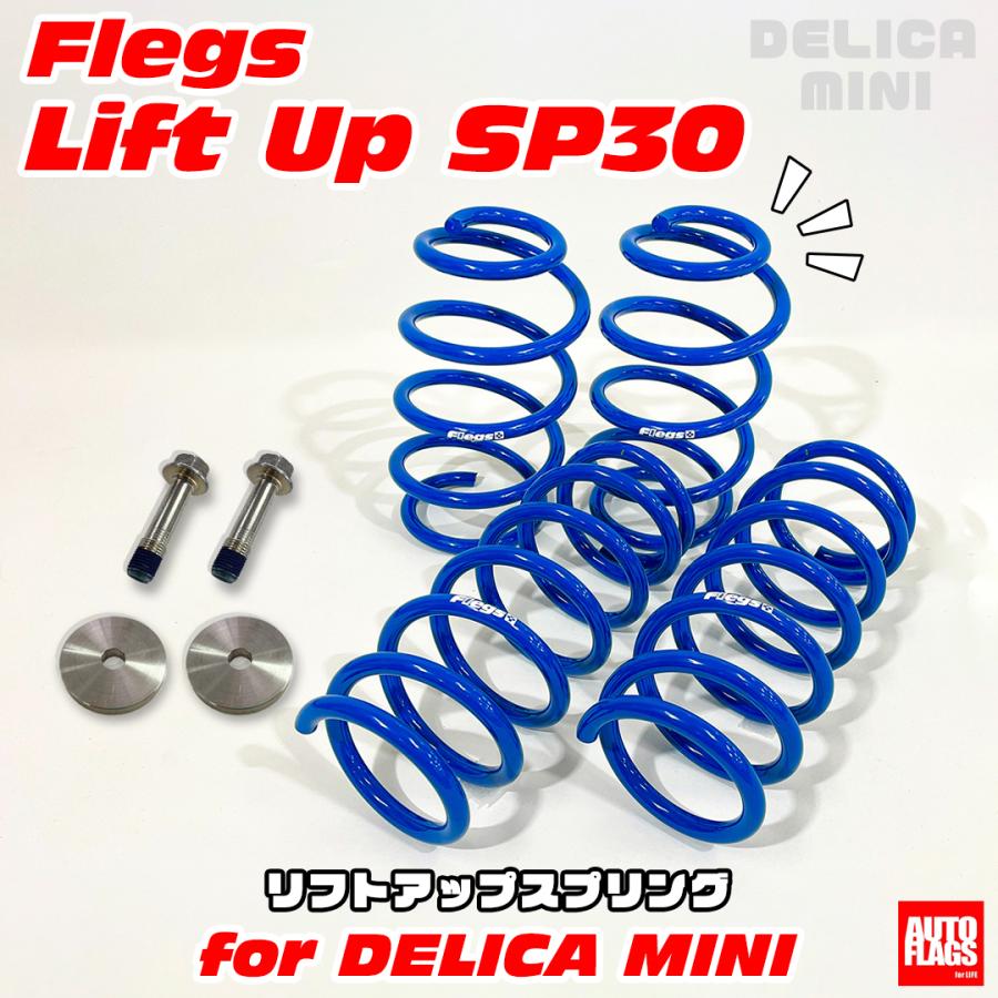 autoflags-dm-lus-sp30-01