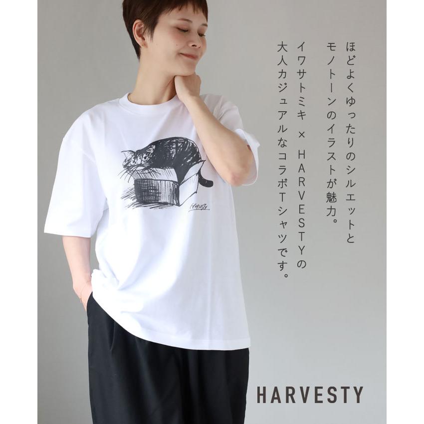 HARVESTY(ハーベスティ) イワサトミキ プリントボックス Tシャツ CAT-1 レディース /岡山 倉敷 児島 定番服 ブランド イラスト 半袖 ゆったり 猫 シンプル 春 夏の画像