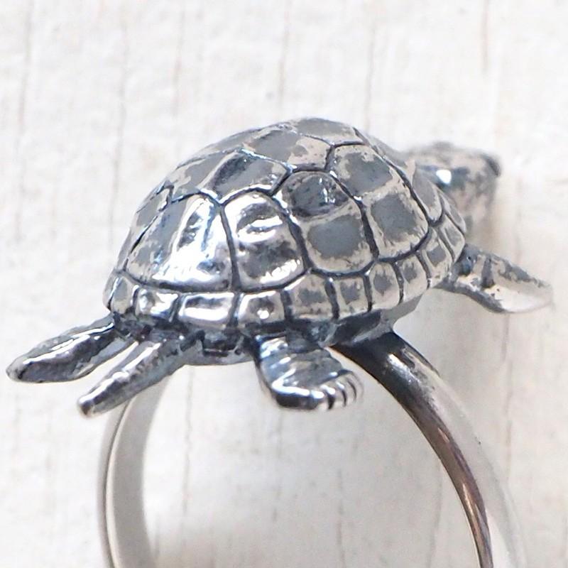 naturama(ナチュラマ) 亀リング シルバー925 / アラマルーツ