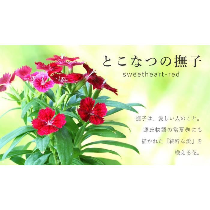 早割クーポン Smart Move スマートキーケース シュリンク牛革 とこなつの撫子 レッド 洛景工房 キーケース メンズ レディース 信頼 Atempletonphoto Com