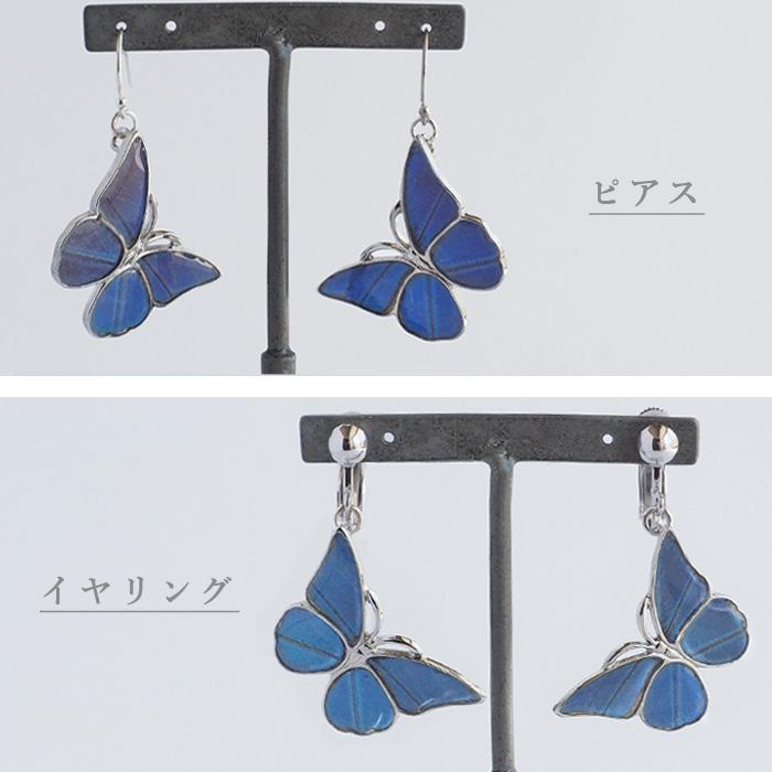 naturama(ナチュラマ) ブルーモルフォ蝶のピアス シルバー “Mサイズ” 2