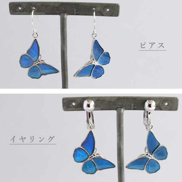 naturama(ナチュラマ) ブルーモルフォ蝶のピアス・イヤリング シルバー