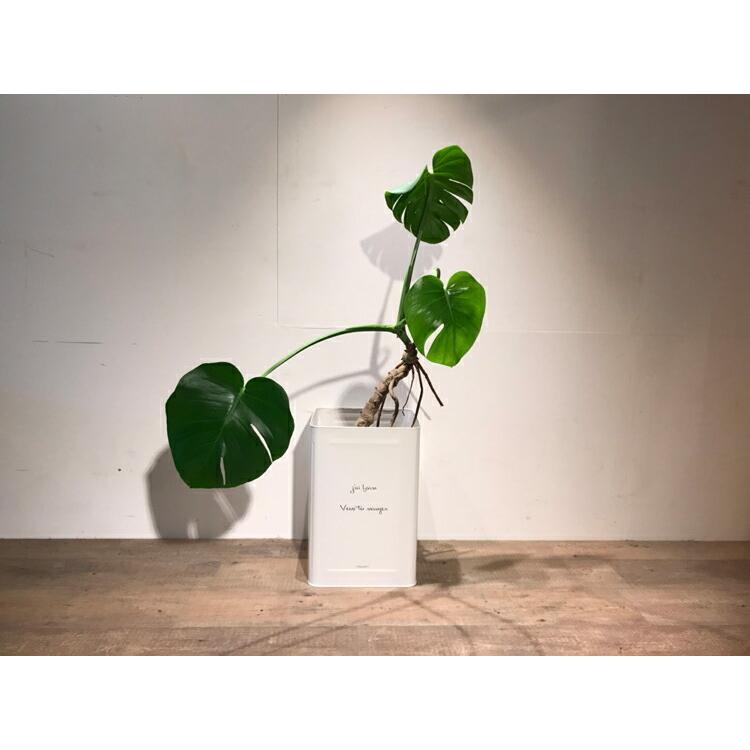 オーダーサイズ可能 一斗缶 リメイク 植木鉢 鉢カバー