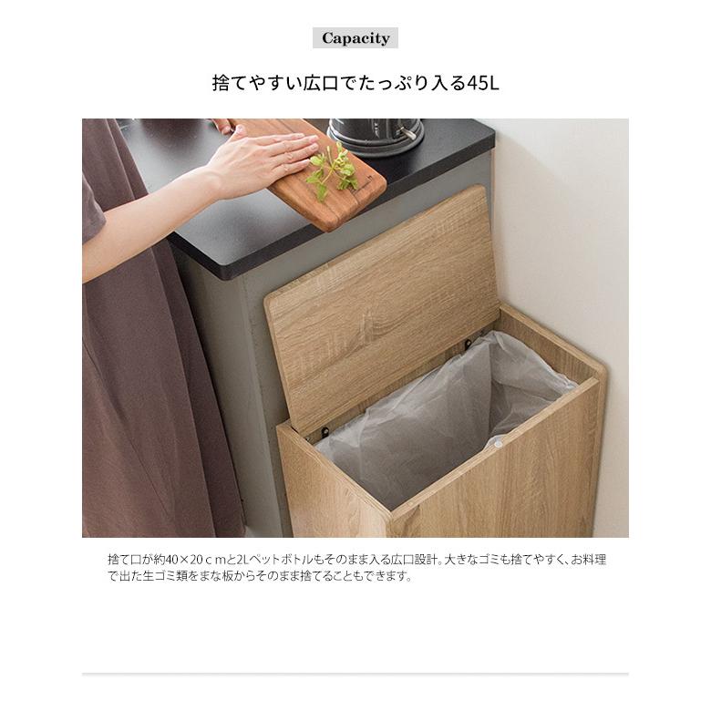 ゴミ箱 ごみ箱 ダストボックス くず入れ ふた付き プッシュ式