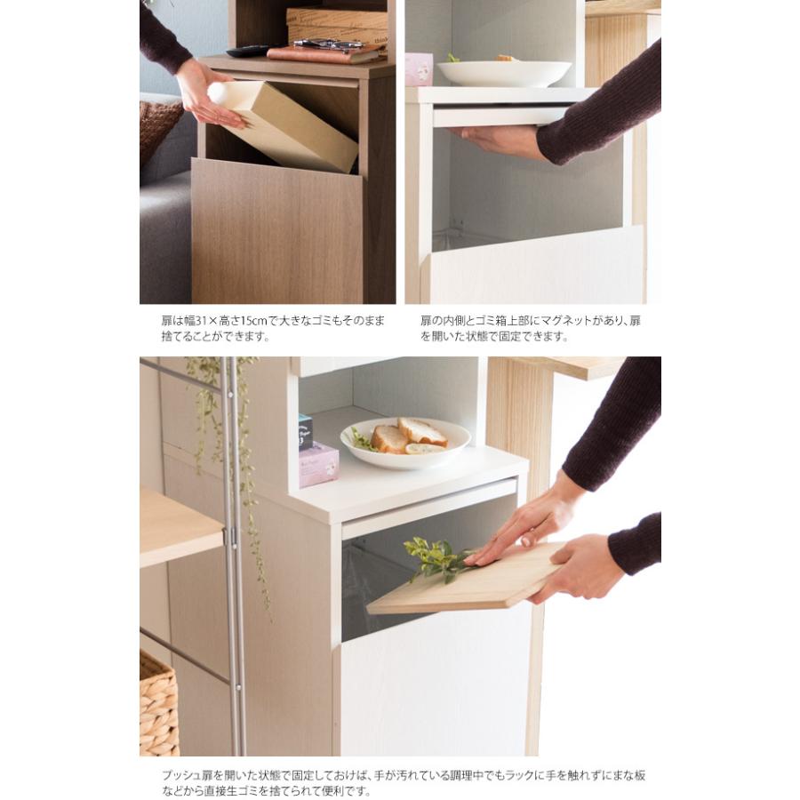 ゴミ箱 ごみ箱 ダストボックス 45L 収納付き 2連 2段 くず入れ ふた