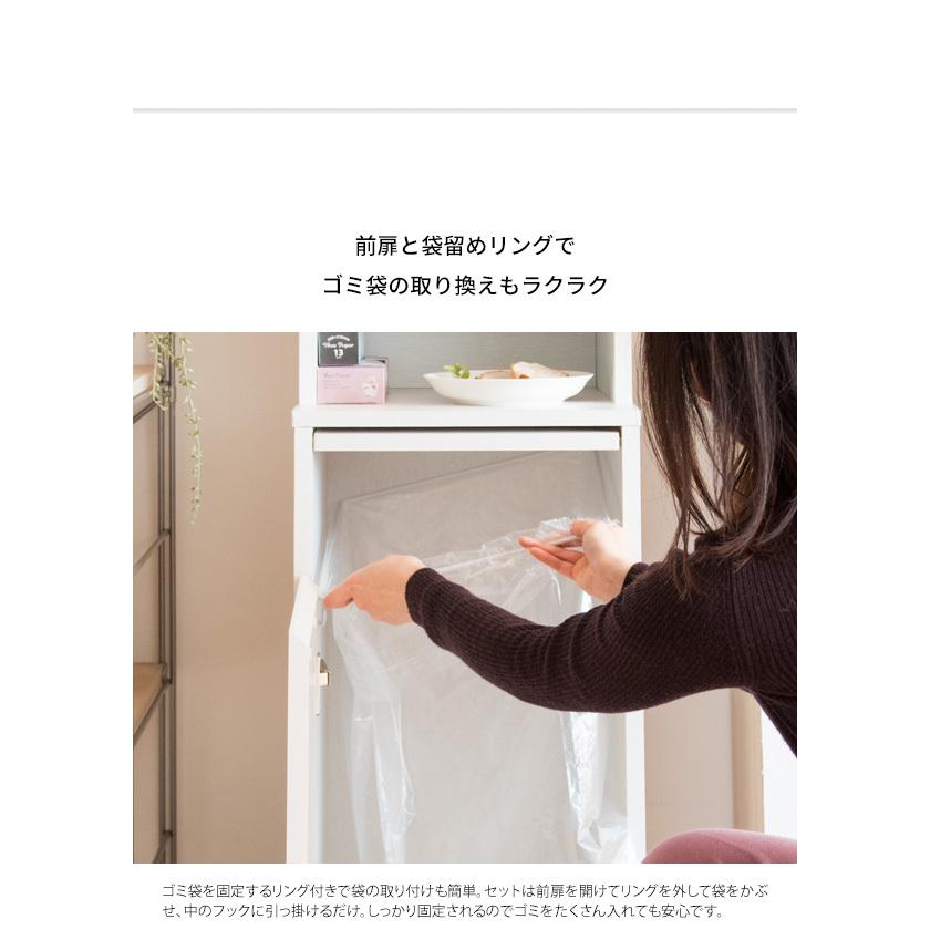 ゴミ箱 ごみ箱 ダストボックス 45L 収納付き 2連 2段 くず入れ ふた