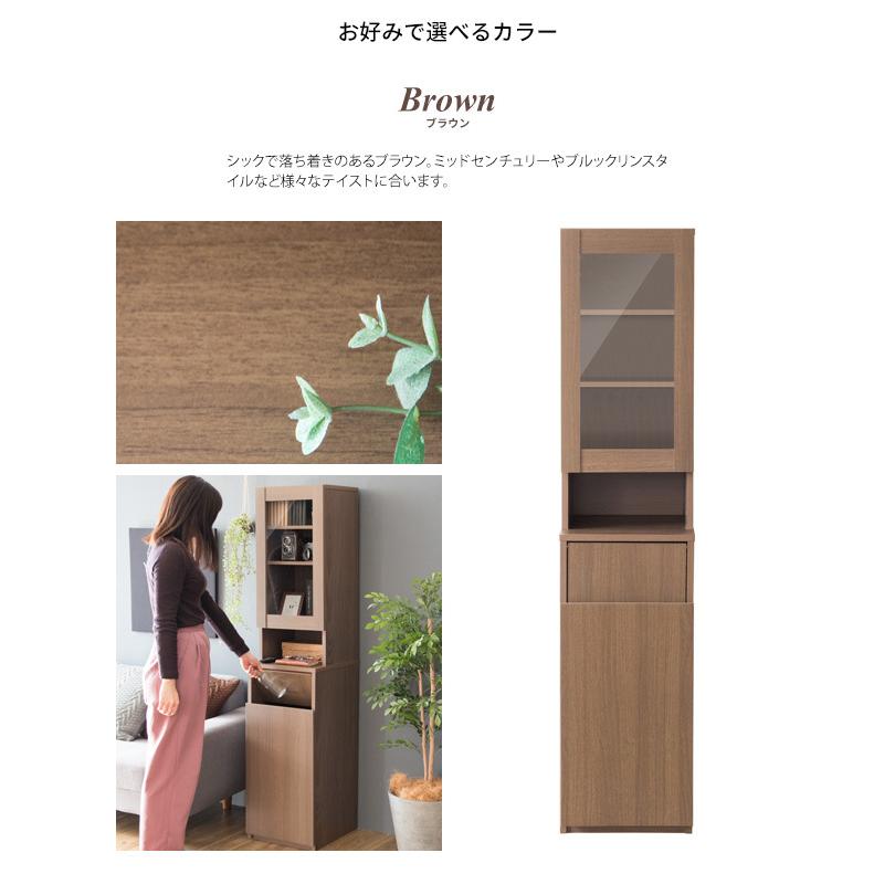 ゴミ箱 ごみ箱 ダストボックス 45L 収納付き 2連 2段 くず入れ ふた