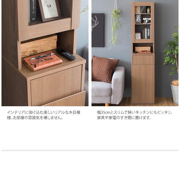 ゴミ箱 ごみ箱 ダストボックス 45L 収納付き 2連 2段 くず入れ ふた