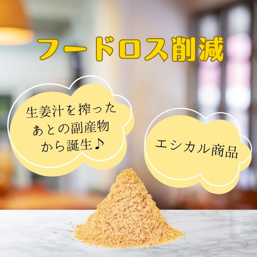 (10%オフ) 生姜ファイバー 25g 送料無料 食物繊維 ファイバー Craft Ginger Fiber クラフトジンジャー 高知県産 生姜 無添加 無着色 国産 乾燥しょうが 乾燥野菜 |  | 02
