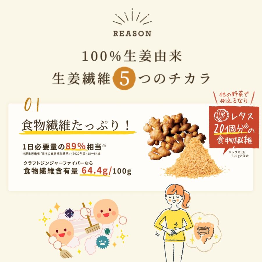 (10%オフ) 生姜ファイバー 25g 送料無料 食物繊維 ファイバー Craft Ginger Fiber クラフトジンジャー 高知県産 生姜 無添加 無着色 国産 乾燥しょうが 乾燥野菜 |  | 04