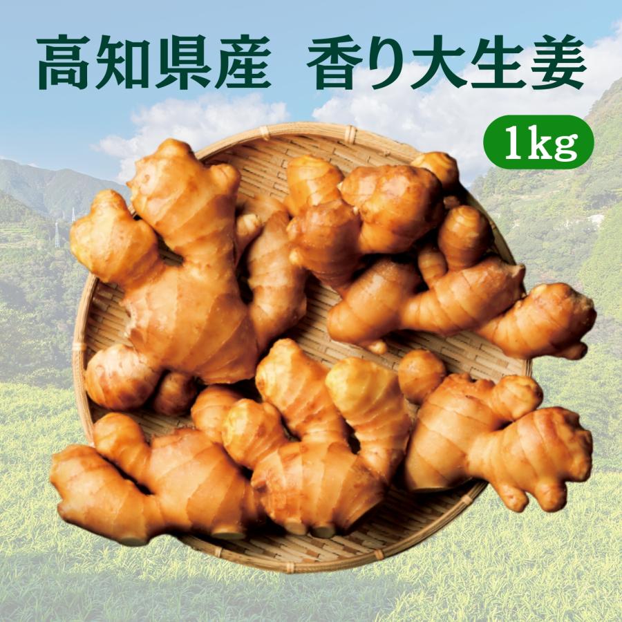 生ショウガ 国産生姜 1kg 産地直送 香り 大生姜 高知 産 100% しょうが ジンジャー ginger 業務用 プロ仕様 温活 食用 送料無料（Yahoo!・高知の生姜専門店 Craft Ginger）