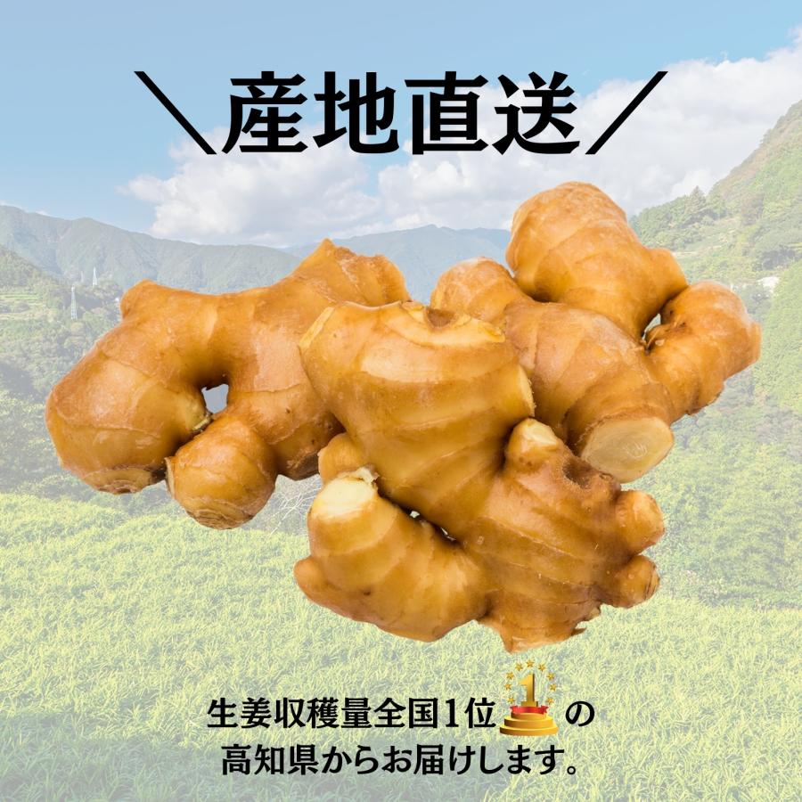 生姜 国産 1kg 高知県産 生しょうが 香り大生姜 送料無料 産地直送