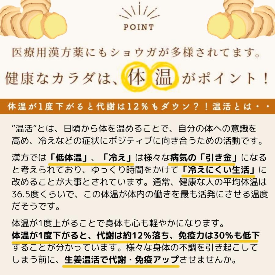 ジンジャーシロップ 生姜シロップ 200ml×2 濃縮ジュース 無添加 国産 ジンジャーエール 辛口 高知県 産 生姜 しょうが |  | 16