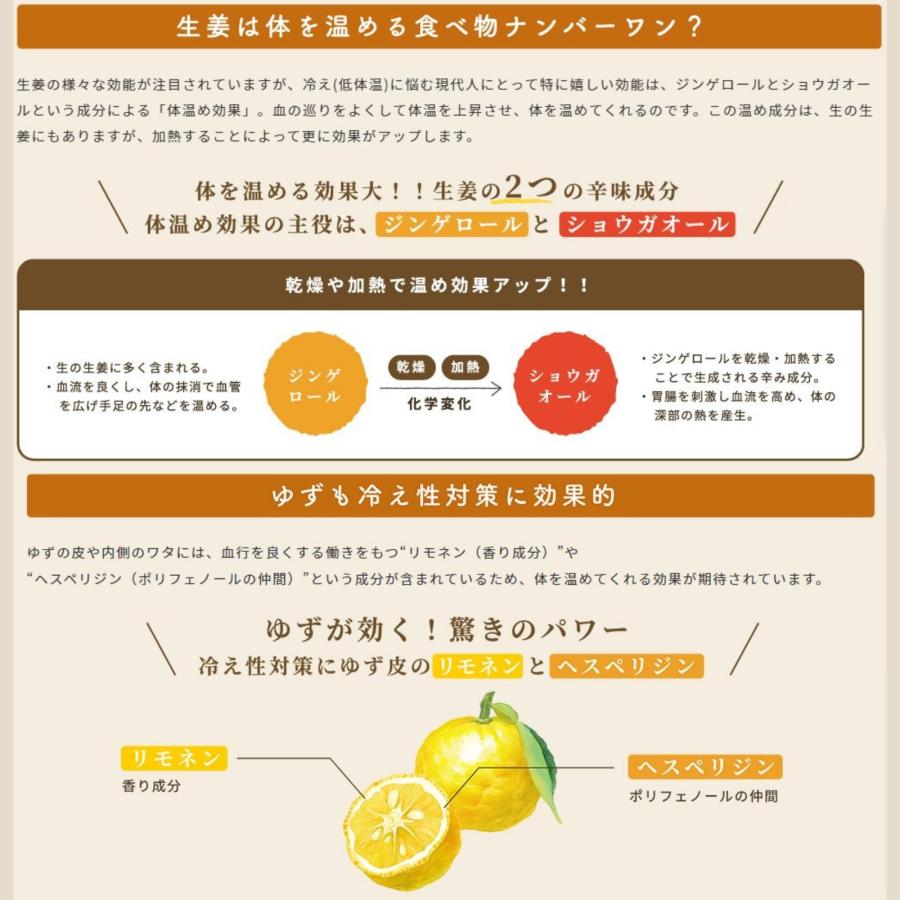 ジンジャーシロップ 生姜シロップ 200ml×2 濃縮ジュース 無添加 国産 ジンジャーエール 辛口 高知県 産 生姜 しょうが |  | 17