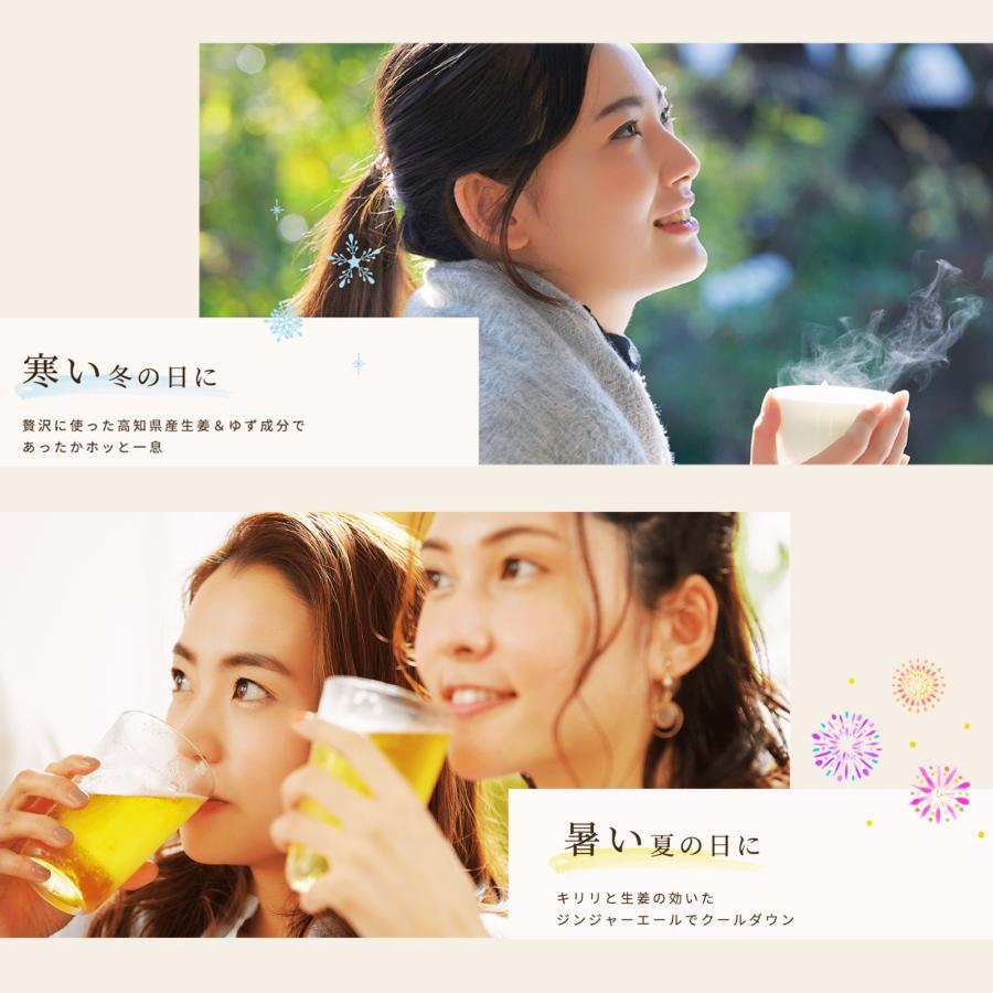 ジンジャーシロップ 生姜シロップ 200ml×2 濃縮ジュース 無添加 国産 ジンジャーエール 辛口 高知県 産 生姜 しょうが |  | 19