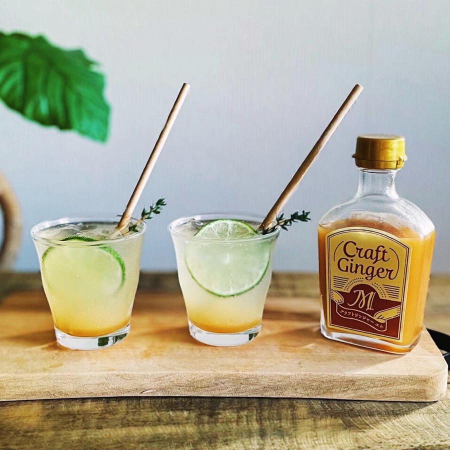 ジンジャーシロップ 生姜シロップ 200ml×2 濃縮ジュース 無添加 国産 ジンジャーエール 辛口 高知県 産 生姜 しょうが |  | 22