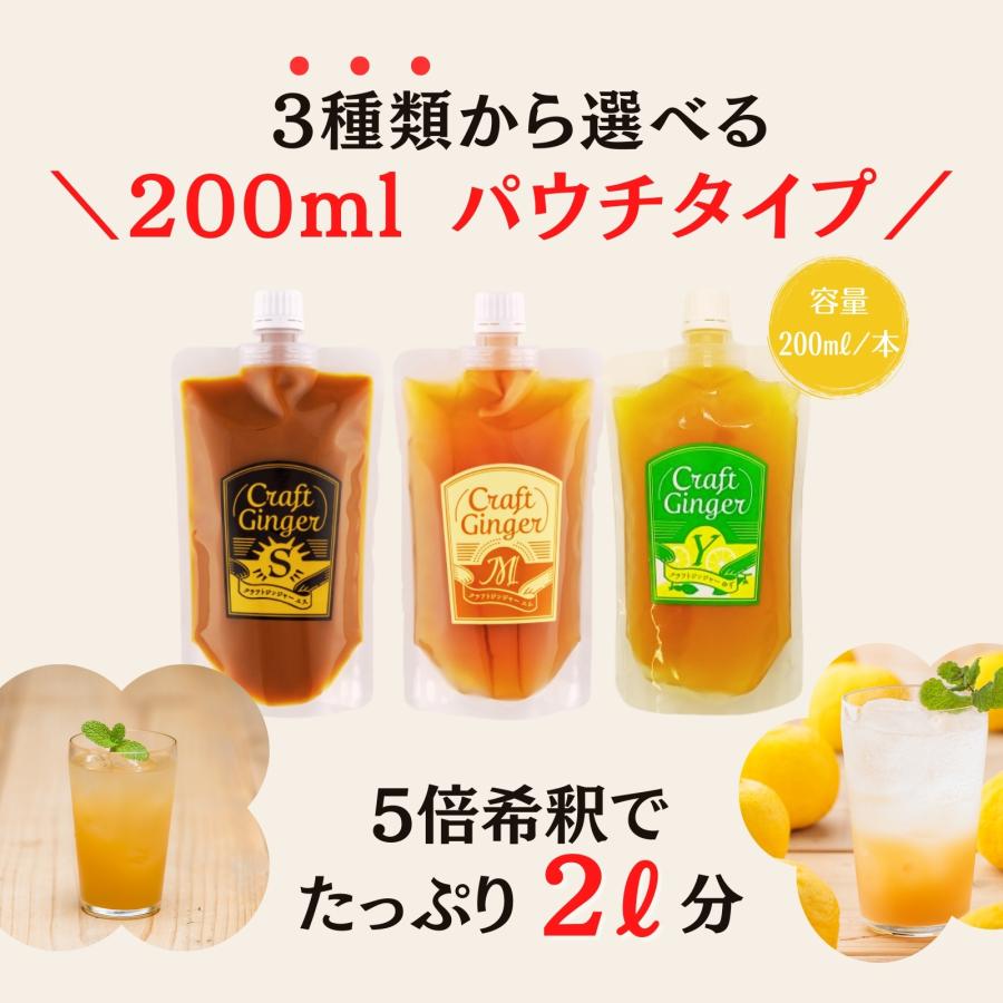 ジンジャーシロップ 生姜シロップ 200ml×2 濃縮ジュース 無添加 国産 ジンジャーエール 辛口 高知県 産 生姜 しょうが |  | 09