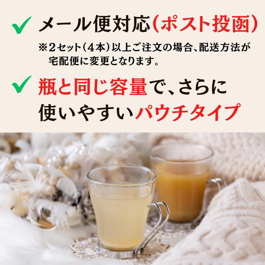 ジンジャーシロップ 生姜シロップ 200ml×2 濃縮ジュース 無添加 国産 ジンジャーエール 辛口 高知県 産 生姜 しょうが |  | 11