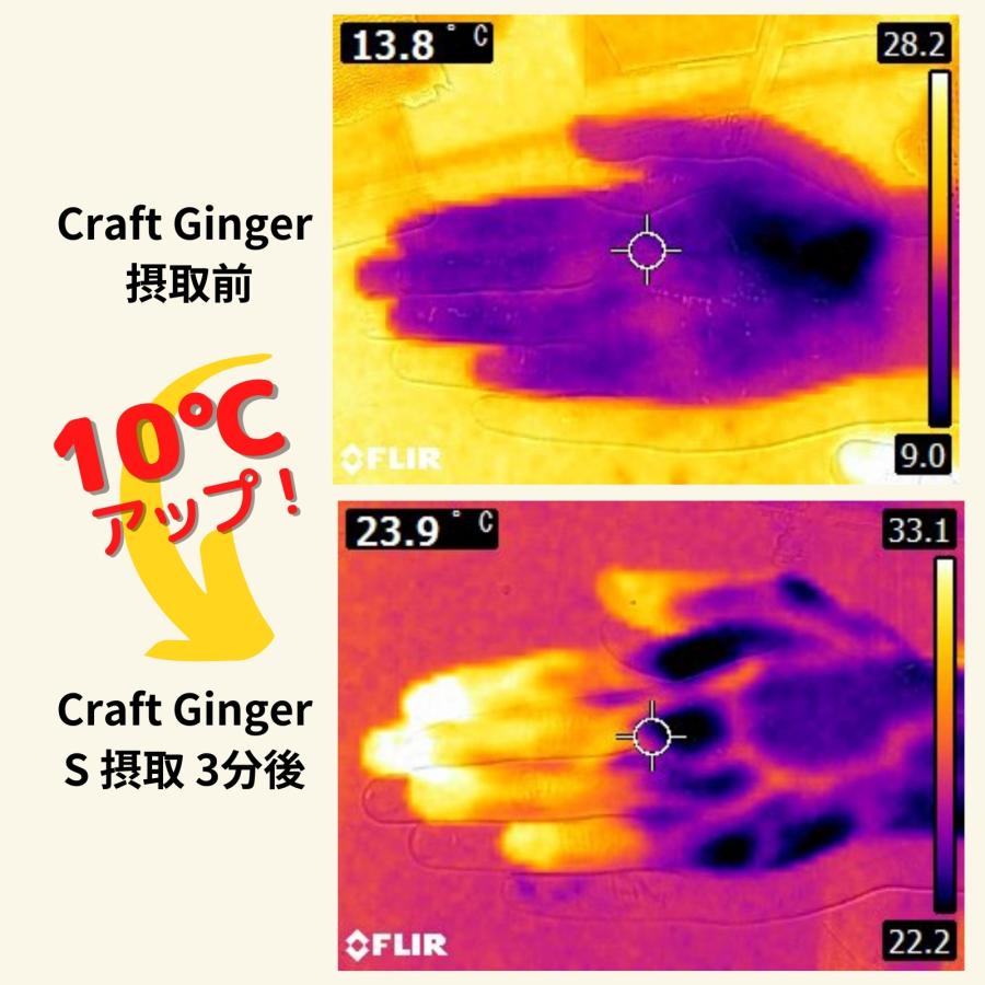 ジンジャーシロップ 生姜シロップ 200ml×2 濃縮ジュース 無添加 国産 ジンジャーエール 辛口 高知県 産 生姜 しょうが |  | 13