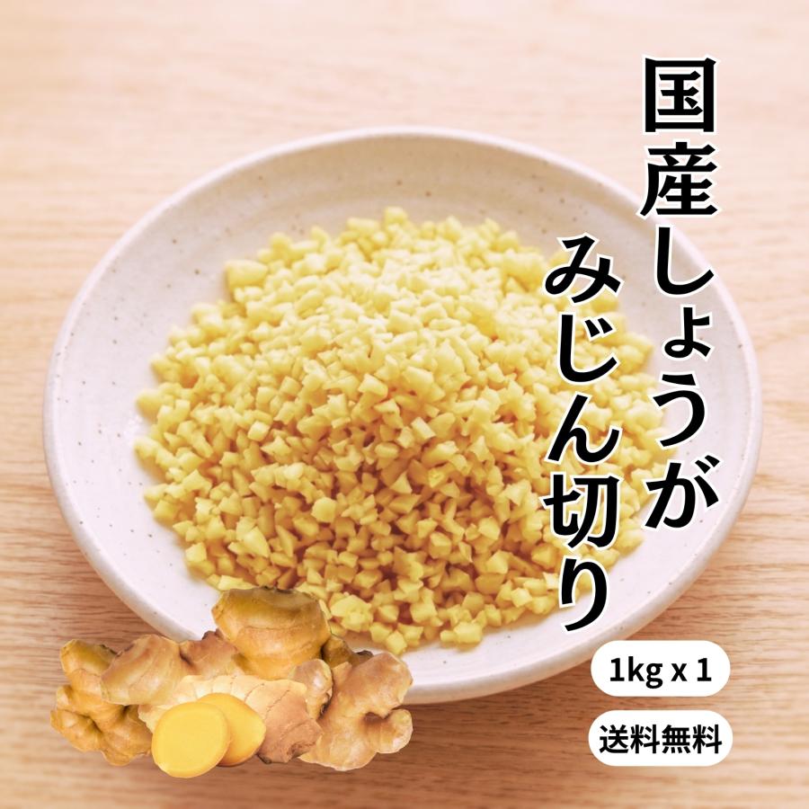 冷凍 みじん生姜 国産 1kg 送料無料 無添加 無着色 業務用 きざみ 刻み みじん みじん切り 生姜 しょうが ショウガ プロ仕様 大容量 冷凍野菜 調味料 薬味 | 