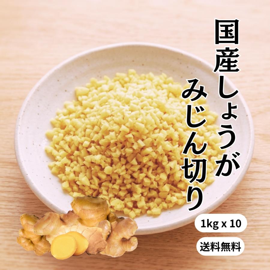 冷凍 みじん生姜 国産 1kgx10 送料無料 無添加 無着色 業務用 きざみ 刻み みじん みじん切り 生姜 しょうが ショウガ プロ仕様 大容量 冷凍野菜 調味料 薬味 | 