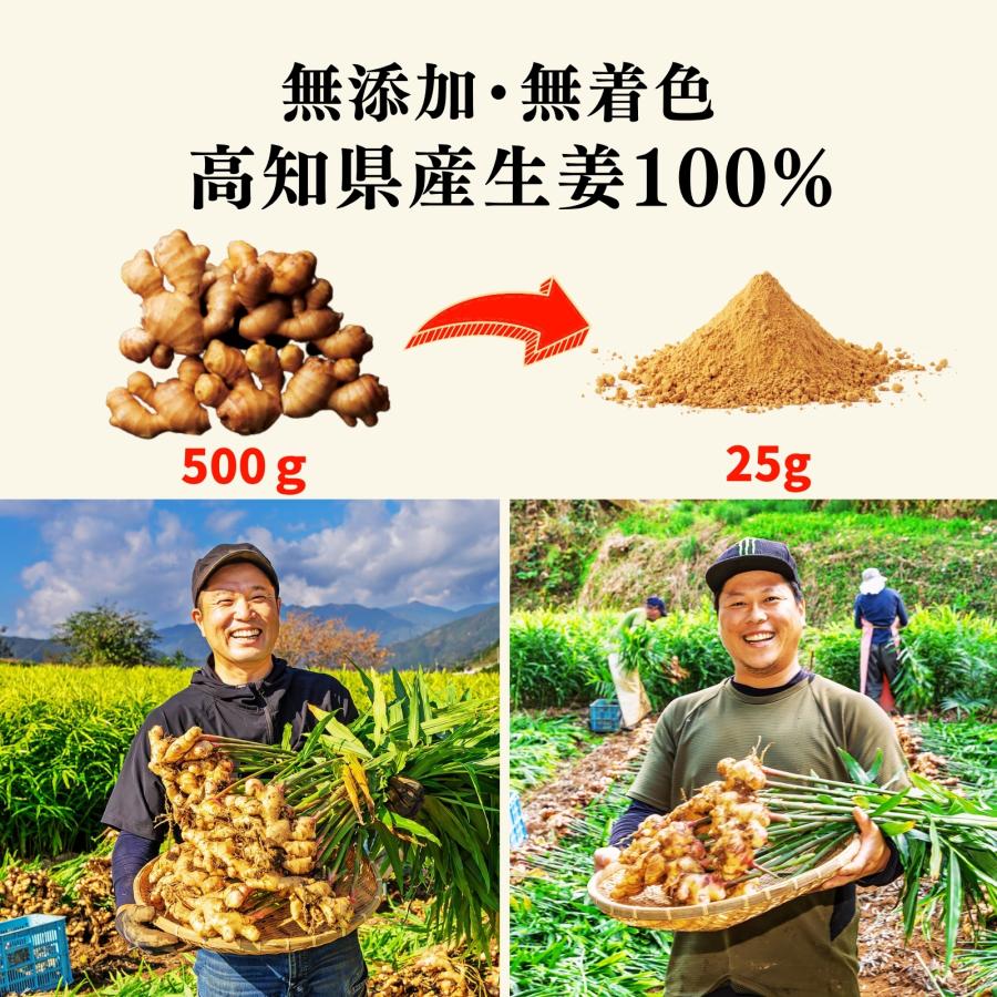 ＼無添加 濃さ450倍／ Craft Ginger Powder 25g ジンジャーパウダー 生姜パウダー 無添加 高知県産 国産 生姜 粉末 |  | 01