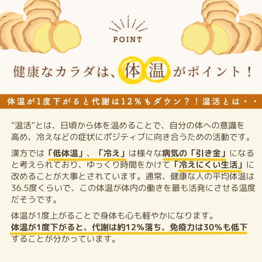 ＼無添加 濃さ450倍／ Craft Ginger Powder 25g ジンジャーパウダー 生姜パウダー 無添加 高知県産 国産 生姜 粉末 |  | 03